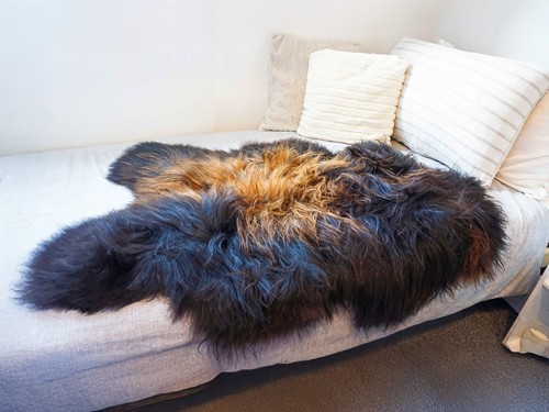 Genuine single icelandic - single,
