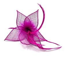 Ladies Feather Beak Clip Fascinator Weddings Races Royal Ascot Hair Clip
