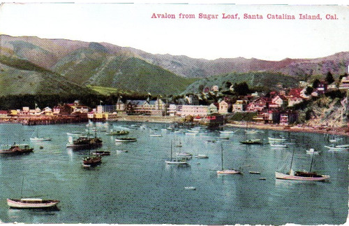 Santa catalina california - catalina,,