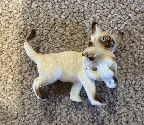 Siamese cat bone - cat, china