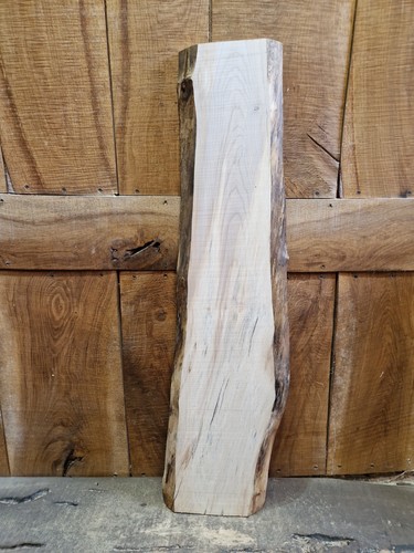 Live edge sycamore - live,