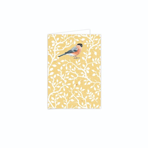 Rspb the wild - the,