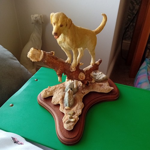 Golden labrador wooden - golden,