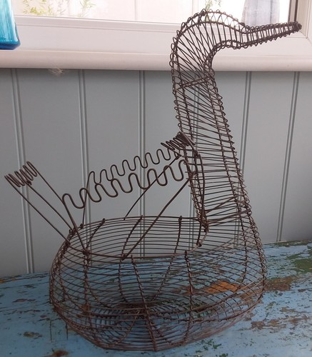 Large duck goose - duck/goose, egg