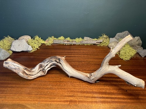 Manzanita driftwood - 20”,