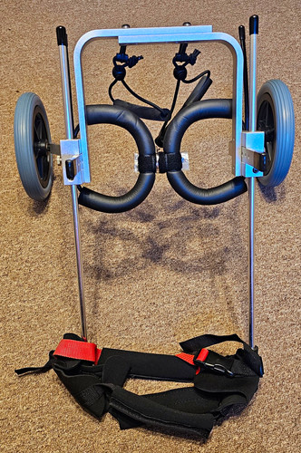 Best friend mobility rear - best,