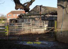 Photo 6x4 Cattle crush at Dene