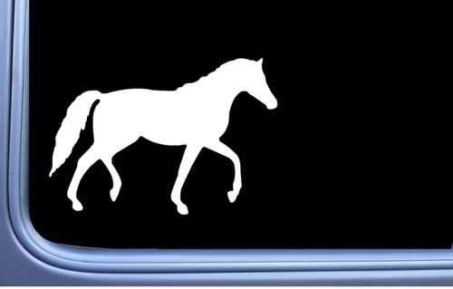 Natural walking horse sticker - natural,