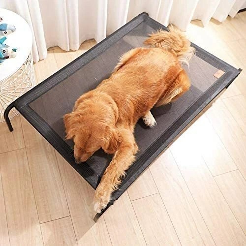 Elevated dog bed - elevated,