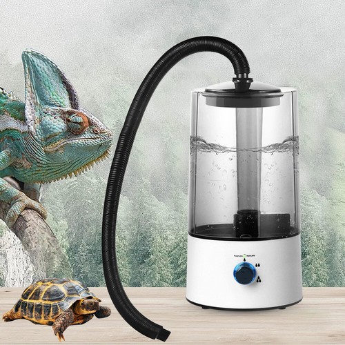Reptile fogger terrariums - reptile,