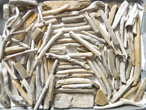 100 driftwood pieces - 100,