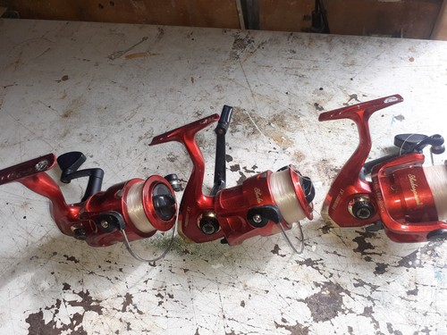 3xshakespeare firebird - 3xshakespeare,