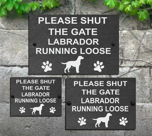 Please shut the gate dog - the,