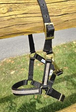 Miniature Horse Nylon Bling Halter