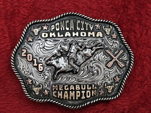 Bull riding - bull,