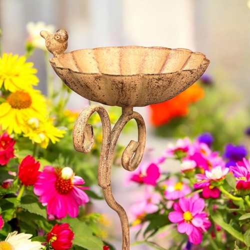 Bird garden feeder birdbath - garden,