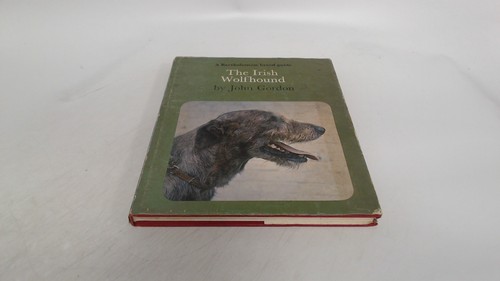 The irish wolfhound gordon - wolfhound,,