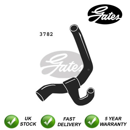 Gates lower radiator hose - gates,