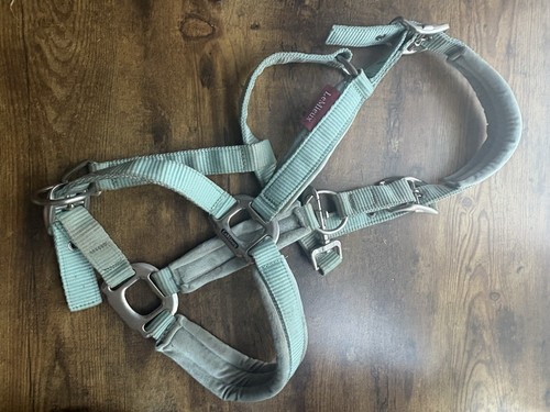 Mieux aqua headcollar cob - mieux,