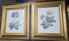 Pair 1795 Botanical Prints
