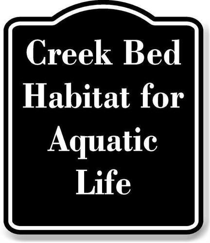 Creek bed habitat for aquatic - creek,