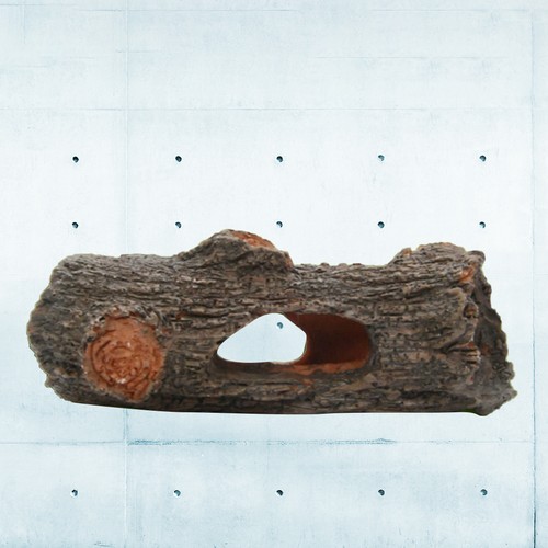 Tree trunk for - tree, log