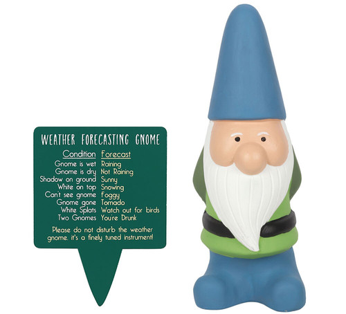Novelty weather forecasting - novelty,