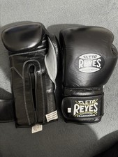 Cleto Reyes Professional