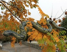 Python Snake Inflatable Zoo