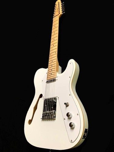 Twelve string semi hollow - string, semi-hollow