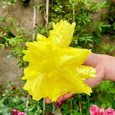 1.2LB Minerals ** LARGE NATIVE SULPHUR OnMATRIX Sicily- FREE