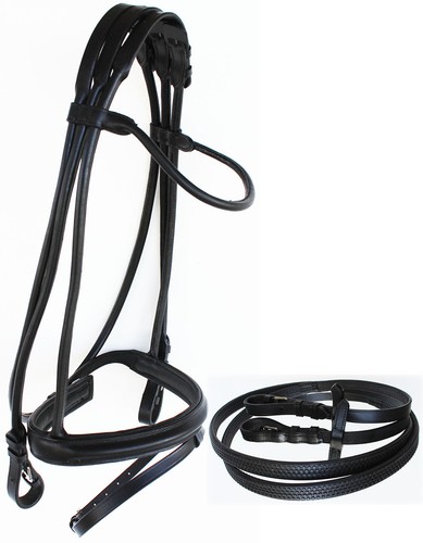 Horse english leather padded - english,