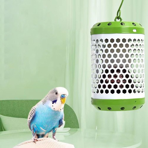 Pet parrot heat keep lamp - parrot,