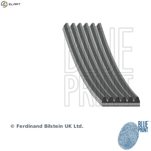 Vribbed belt ad06r975 for - vribbed,