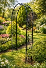 Arran Metal Garden Arch Rose