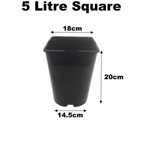 Litre square plant pots - litre,