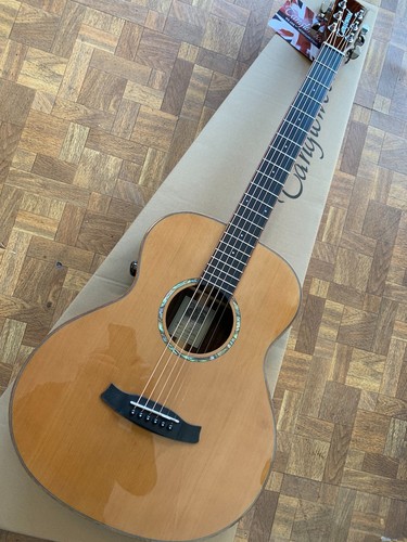 Tanglewood trs1e smart - tanglewood,,