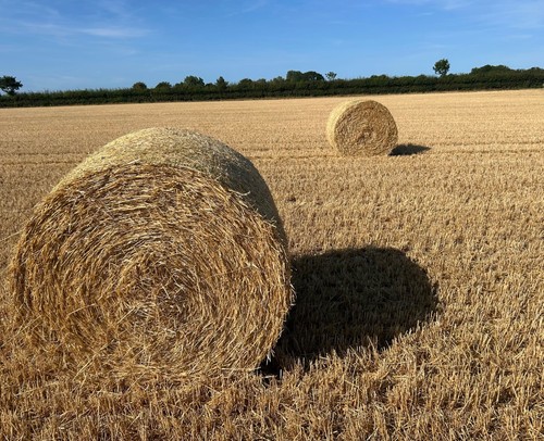 Straw round bales - bales, 4ft