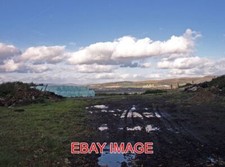 PHOTO  SILAGE ROUND BALES