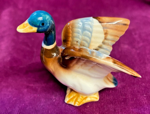 Vintage mallard drake duck - mallard, drake/duck