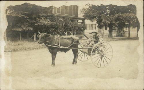 Rppc photo oxen cart - rppc, sulky
