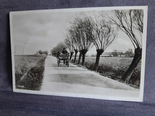 Skane country road horse - , &