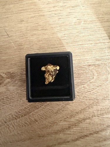 Scottish gold nugget - scottish,