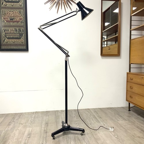 Tall 1950 luxo floor - 1950’s, lamp