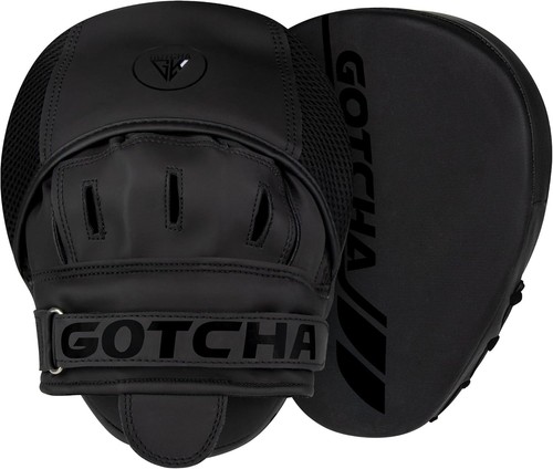 Boxing focus pads - pads, hook