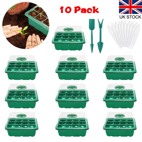 10pcs holes seed - 12,