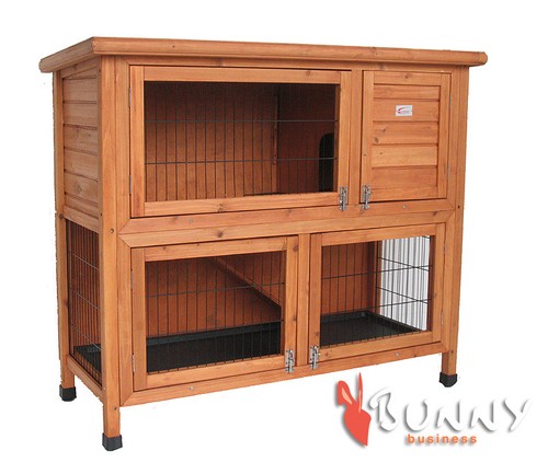 Rabbit hutch guinea pig - guinea,