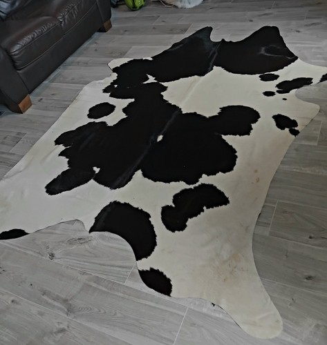 Black white cow hide animal - &,