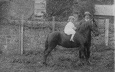 Young Girl on Pony Horse Father Postcard (H832)