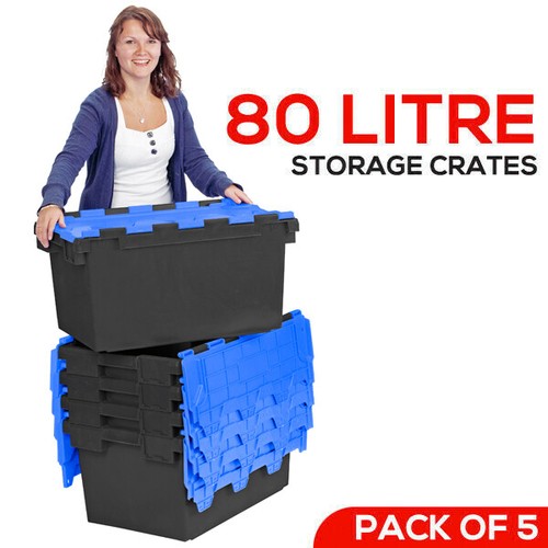 Large plastic crates - 5,